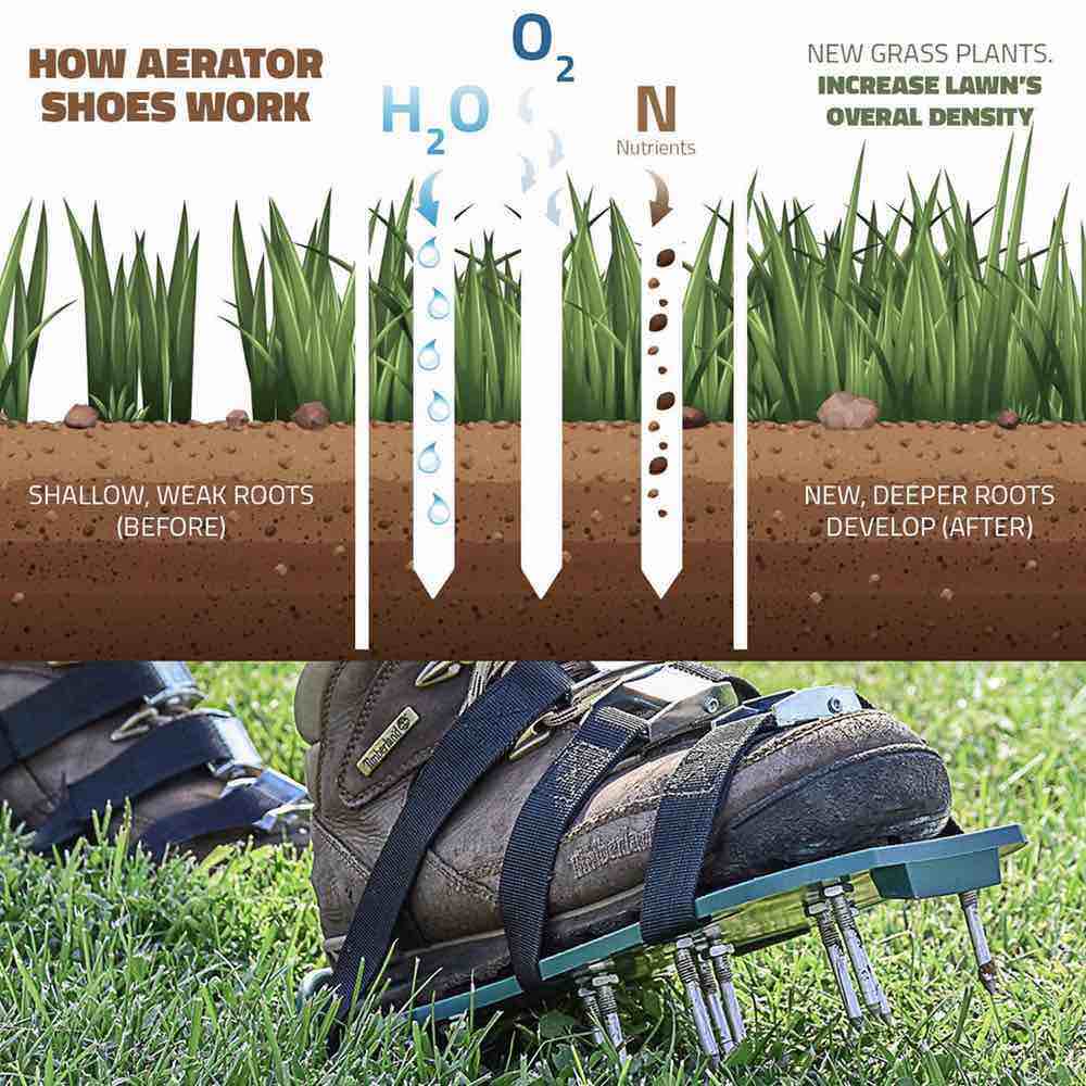 Aerator Shoes: image 7