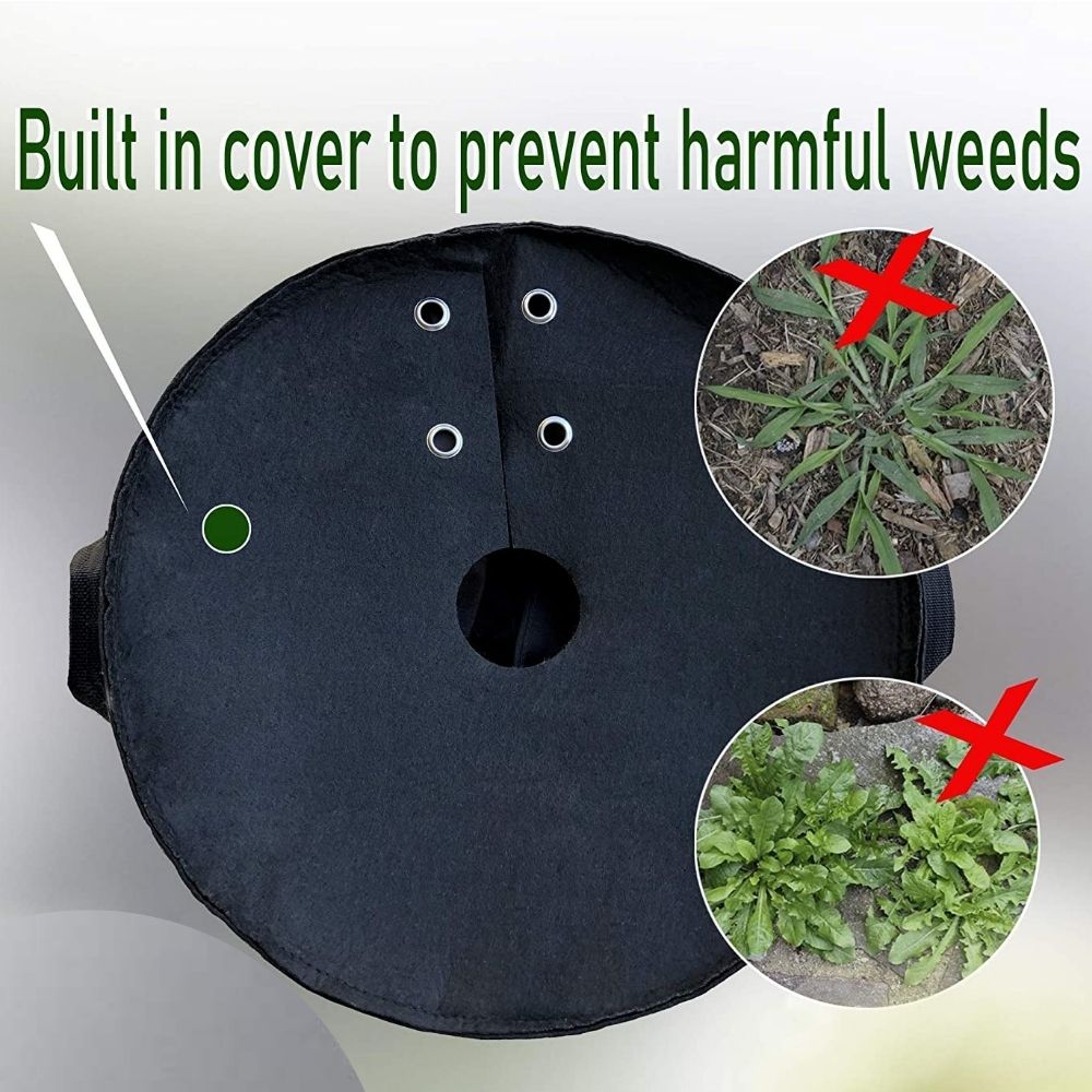 grow bag planting