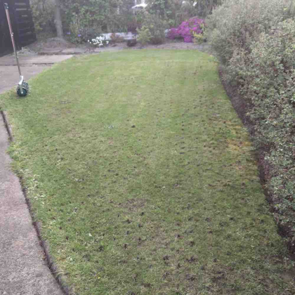 Rolling Lawn Aerator: image 2