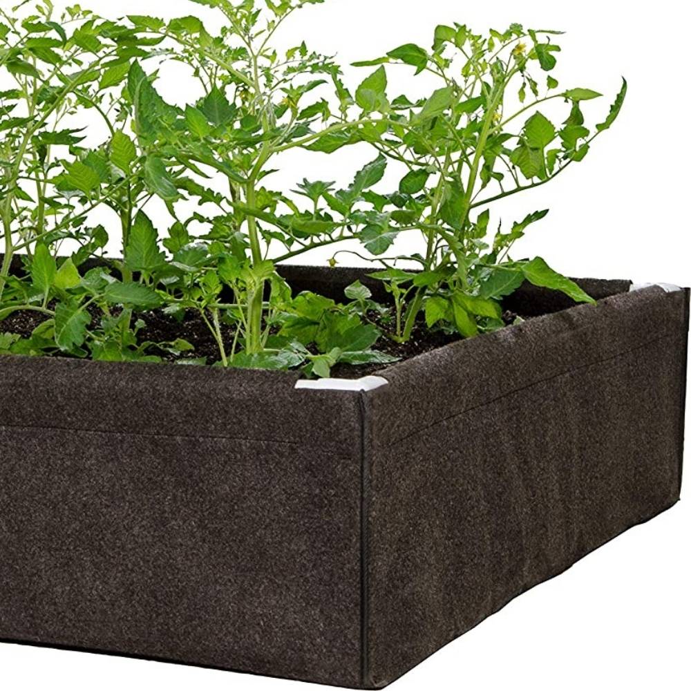 Raised Garden Bed