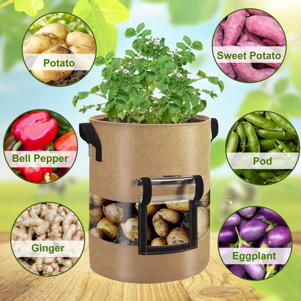 best growing potatoes bag