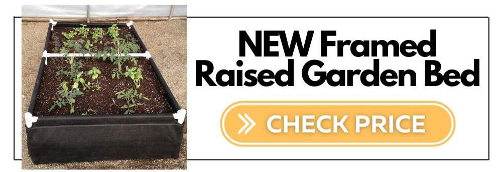 buy framed raised garden bed