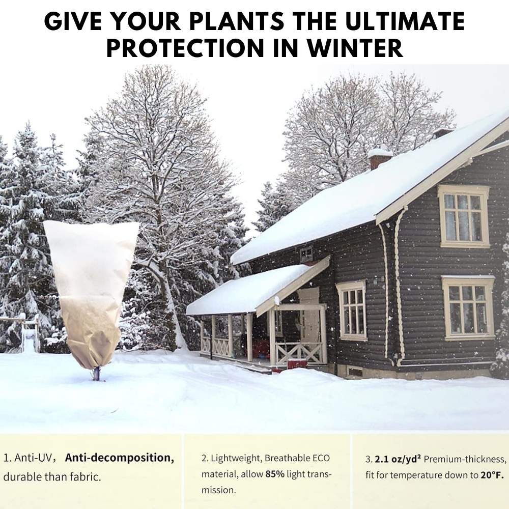 Plant Covers For Frost: image 7