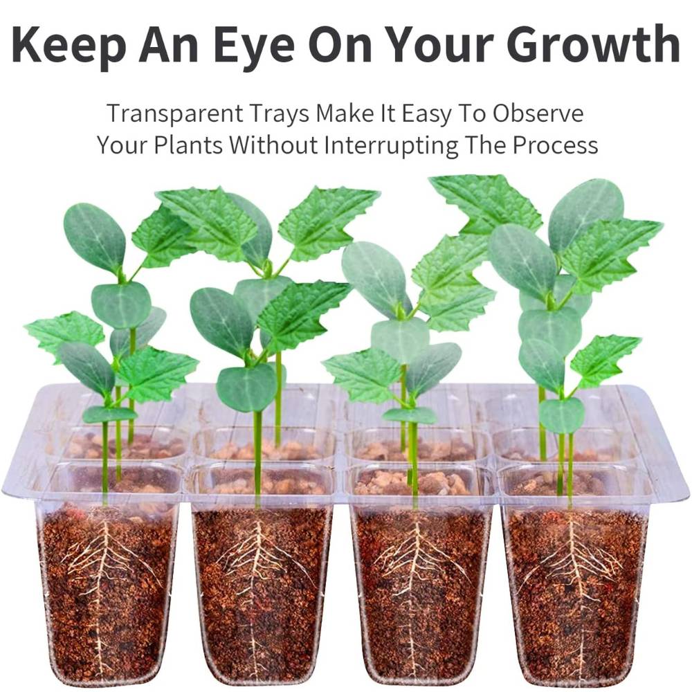 Seed Starter Tray: image 2