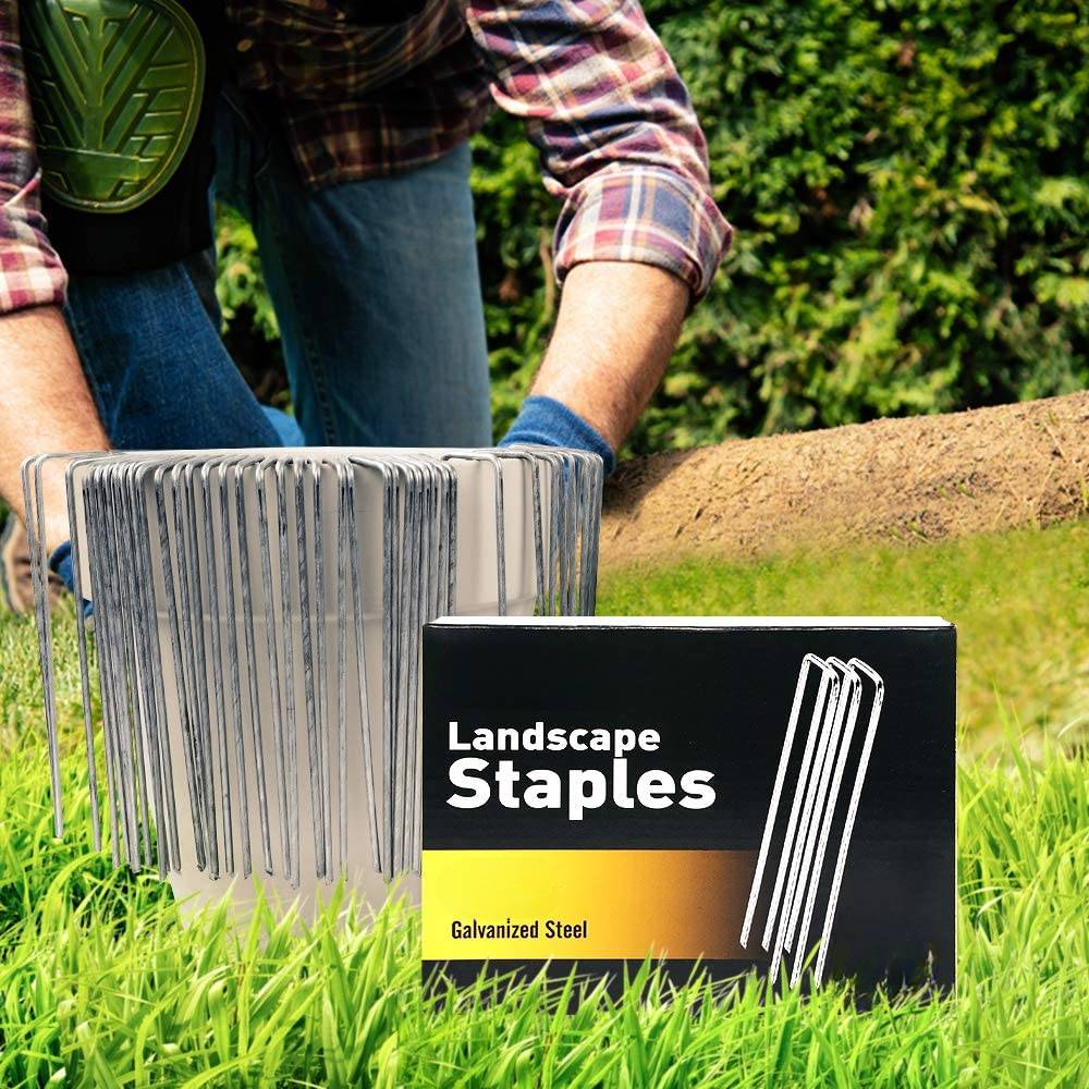 buy galvanised garden staple