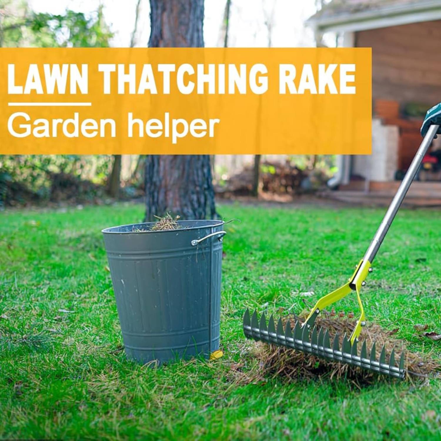 buy dethatching rake