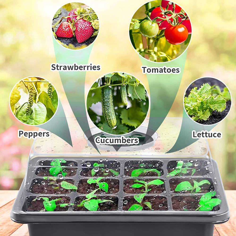 buy reusable seed starter tray